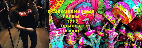 спайс Вяземский